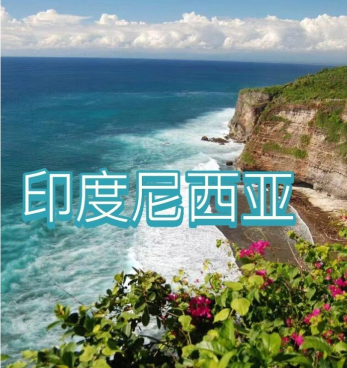 国际电商(印尼)产业博览会冰球突破网站2025中国(图2)